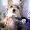 foto do perfil leao50